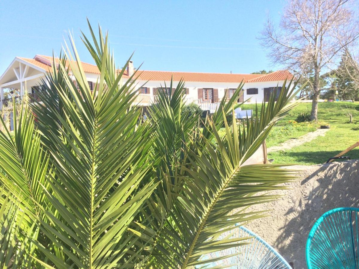 Elemental Ericeira Bed and Breakfast Exteriör bild